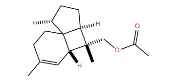 Italicen-12-yl acetate